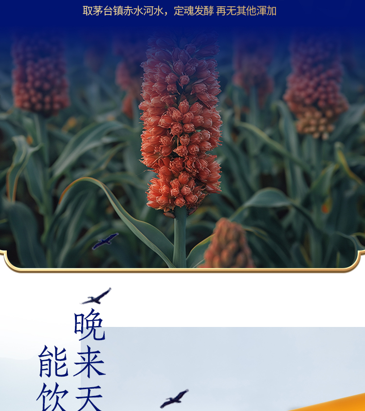 大唐壹號详情_11.jpg